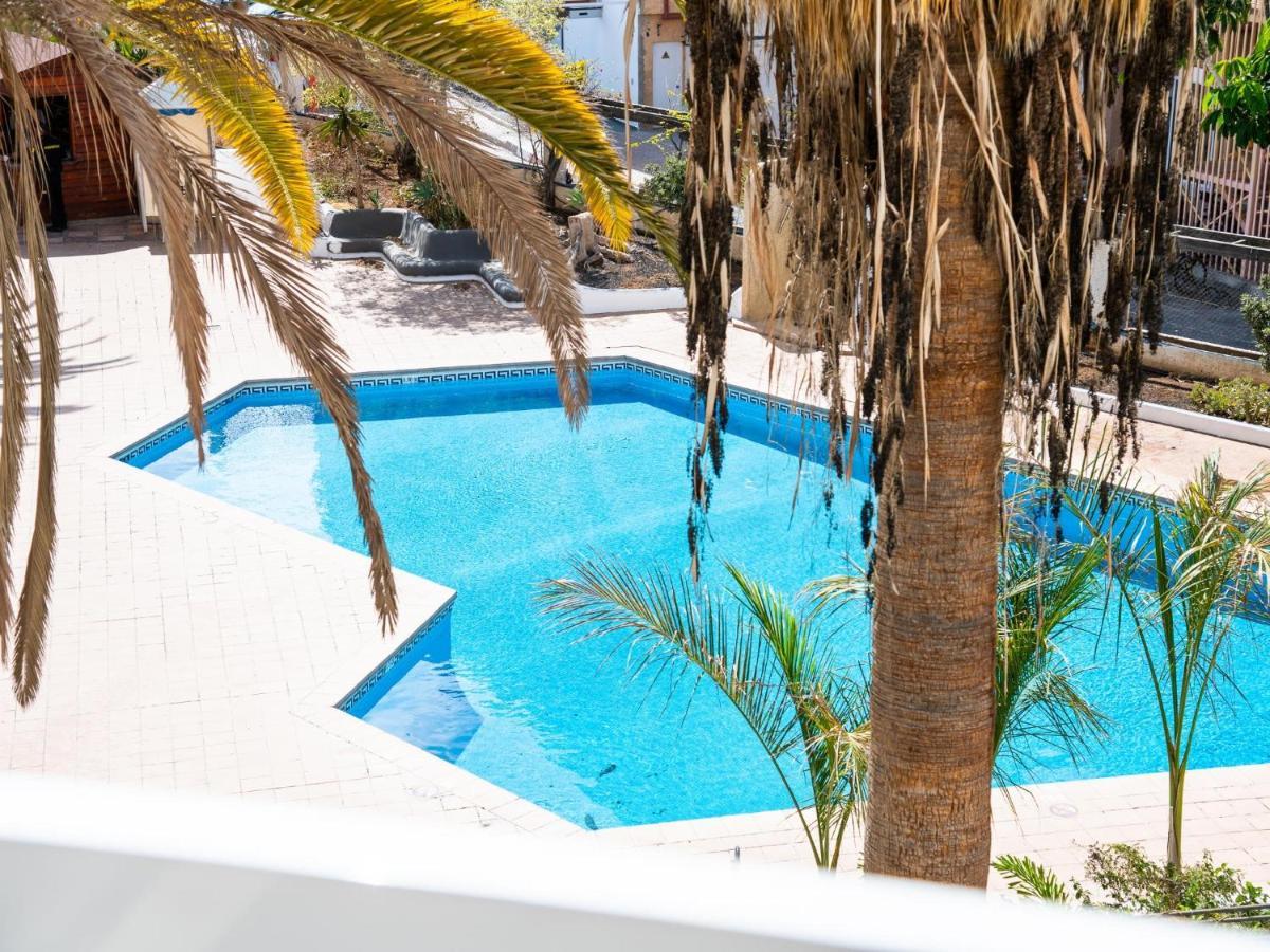 302 Modern, Light, Comfortable Studio With Swimming Pool 美洲海滩 外观 照片